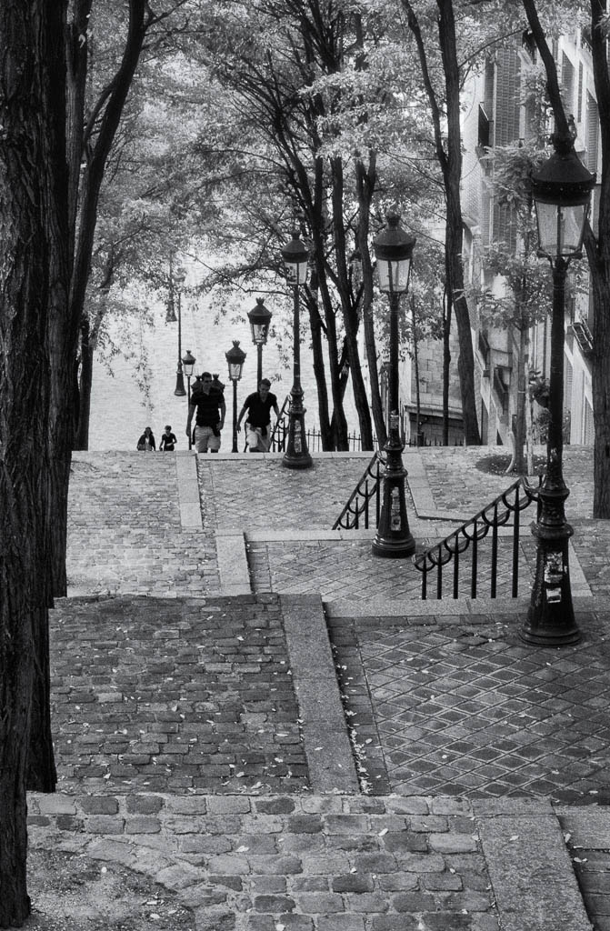 Charm of Montmartre Stairs